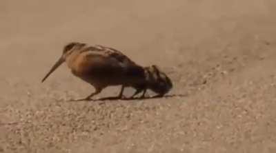 Quick bouncy reminder to check your Wifi