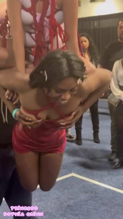 Tied Together & Suspended ! 🪢