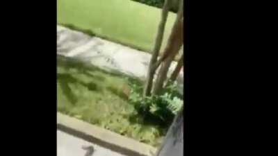 I don't even know where to begin with this racist lady