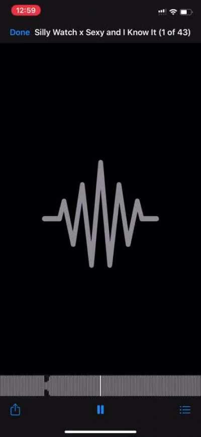 SILLY WATCH X SEXY AND I KNOW IT 🔥🔥🔥 (warning: could set your house on fire. listen with caution)