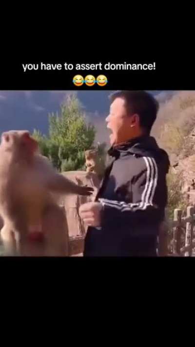 How to greet a Guangxi Lao properly