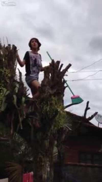 WCGW singing on tree with broom next to power lines