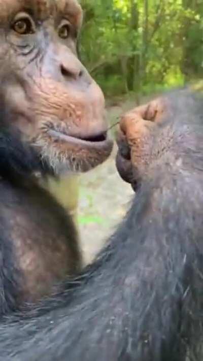 Когда из приличия пытаешься поделится но он не хочет, и думаешь 