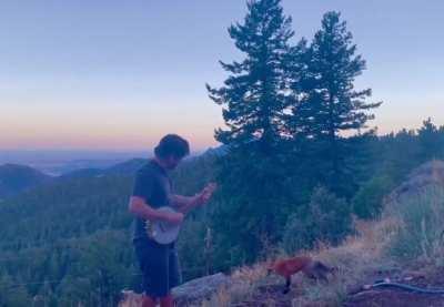 A forest friend enjoying the sights and sounds