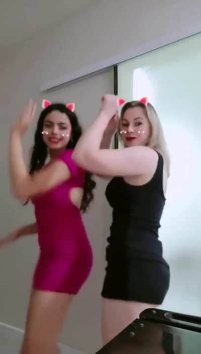 AMIGAS SAFADAS - LIVE COMPLETA NOS COMENTARIOS