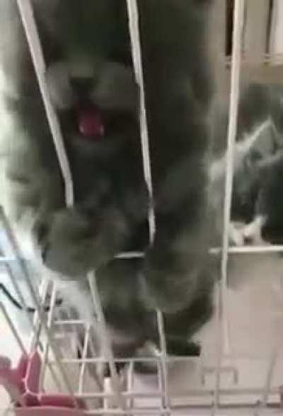 FITE ME (@itsSkrilla on twitter)