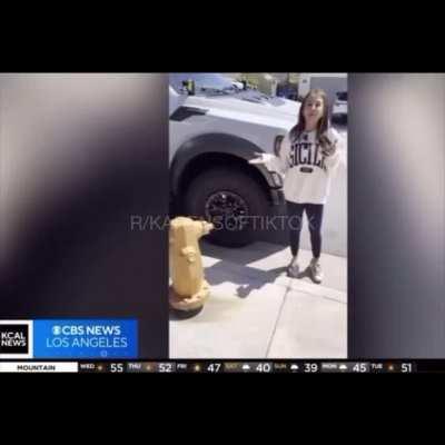 Karen thinks she owns the street and blocks in a guys driveway