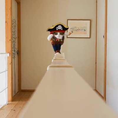 Pirates of the Caribbean next part on the way