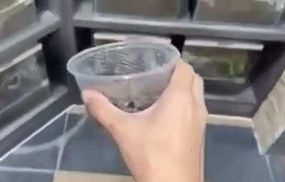 There about to be some....