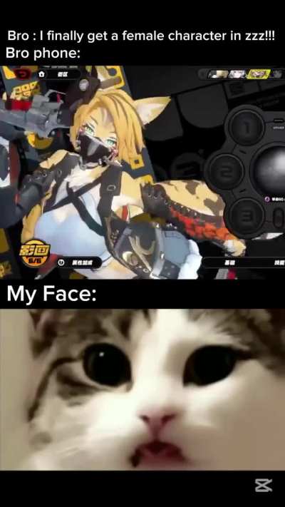 Losercity friend's phone