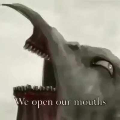 Cursed_dumb fucking crow