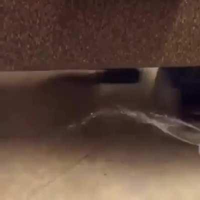 Trying to prank someone