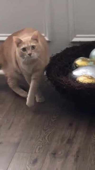 Touch Tha Eggs