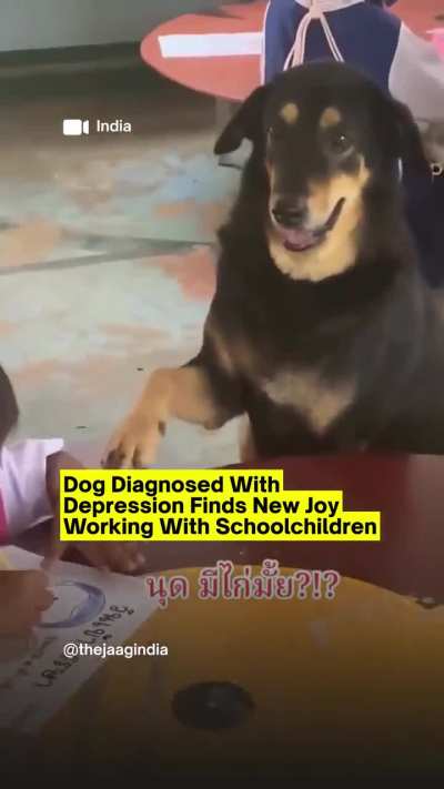 We don't deserve dogs ❤️🥹