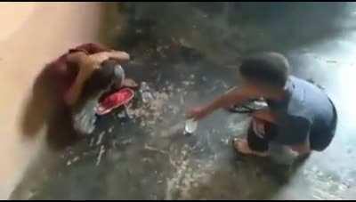 How to lose braincells 101