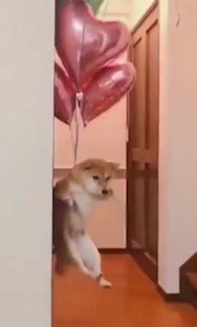 Arriba las pvtas! Los del discord: