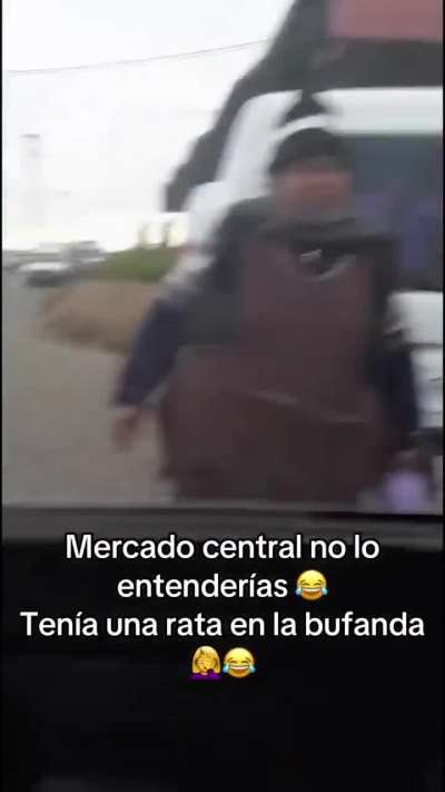 Mercado Central: Gracias al gesto solidario de un conductor una señora pudo deshacerse de la rata que la acompañaba en su bufanda