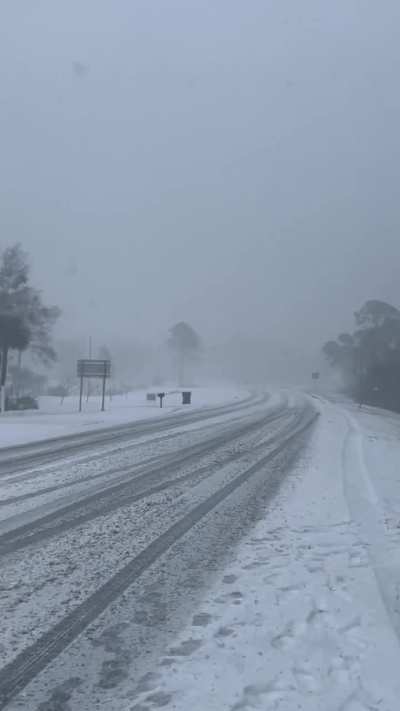 A snowstorm hits the Sunshine State of Florida