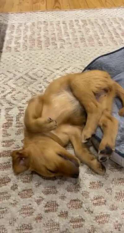 So close, yet so far