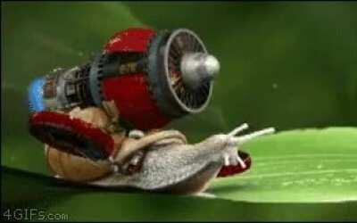 BTC is maybe slow, but it's still able to skyrocket