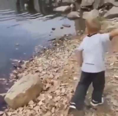 Skipping stone