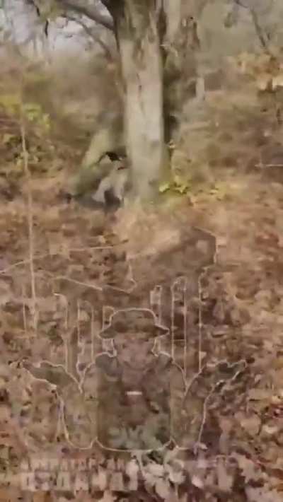 ukranian FPV operators killed in kursk (i think)