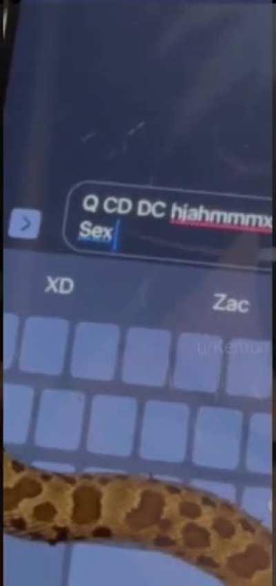 That time my gf reincarnated as a snake