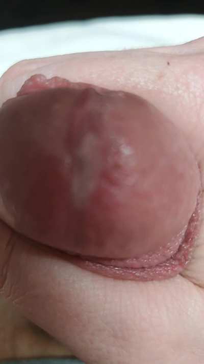 39M - Twin Cities, MN