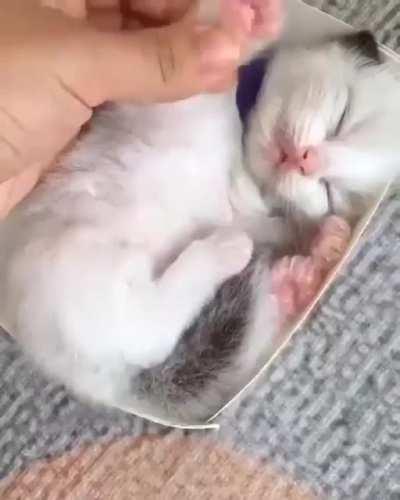 this is the cutest KFC