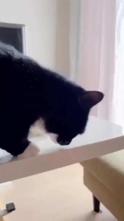 big boobs said WHAT!!