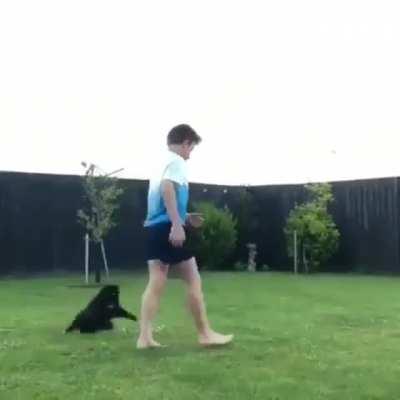 Cats are hard to impress