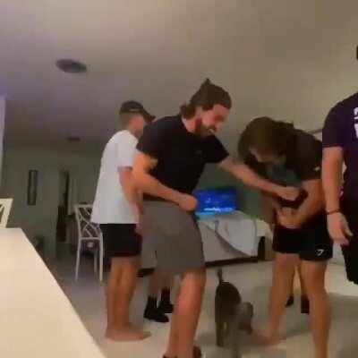 When will the cult begin?