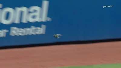 [Highlight] A pigeon takes center stage during Angels @ Mets.