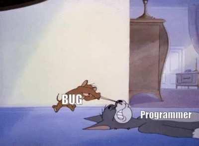 Programmer vs Bug