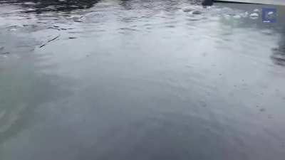 🔥The waters of this Harbor are so deep that even larger creatures can appear.