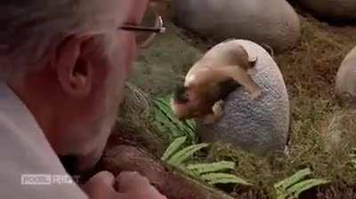 This is what i pay internet for