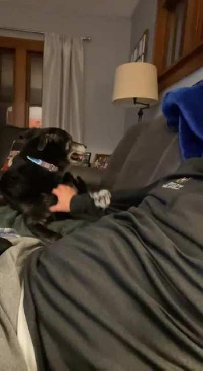 12 year old Molli is persistent