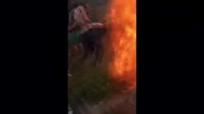 Pouring cinnamon on someone... apparently this is a tradition in Denmark