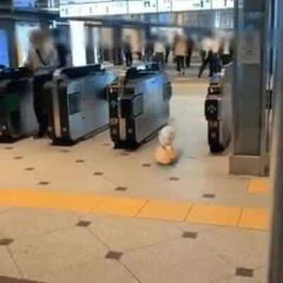 Did I really see that?