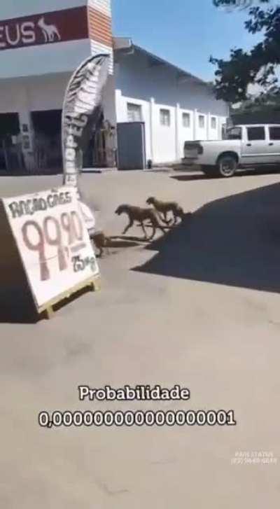 probabilidade 0,00000000000000001