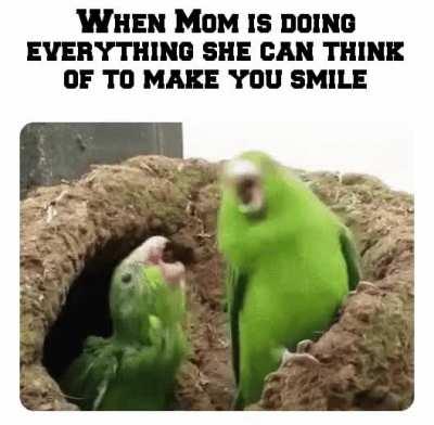 The goofy face normally did the trick.