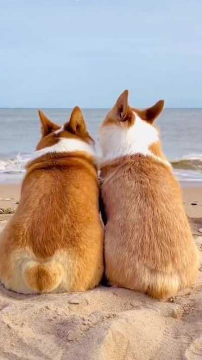 The story of great love