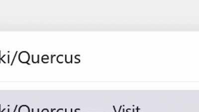 Wikipedia is biased (Big Top Spoilers) (Not clickbait)