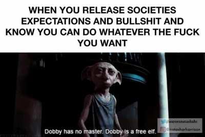 ❤️‍🩹🌙🌱🎉🆓♠️