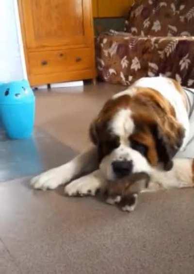 Disciplined the right way lol