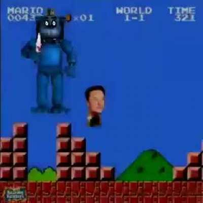 You're bear is: fat fucking c .,ock 