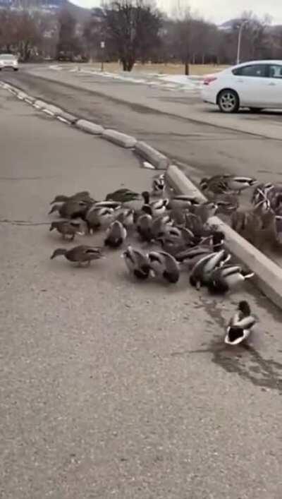 Промахнуться было нереально