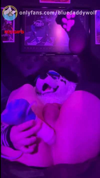 Puppy loves getting his massive equine creampies daily 🐴💦