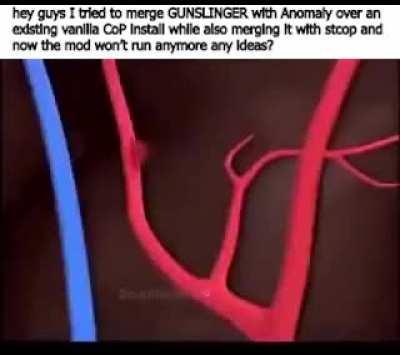 Help, stalker won't run after I installed Gunslinger Anomaly Provak EFP OP-2.1 Goldsphere NS2021 NLC7