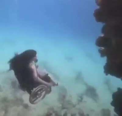 Cumble after being ulted by Salami